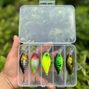 Kit com 5 iscas Ziguinha Meia Agua + Estojo de Brinde