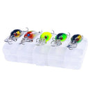 Kit com 5 iscas Ziguinha Meia Agua + Estojo de Brinde