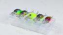 Kit com 5 iscas Ziguinha Meia Agua + Estojo de Brinde
